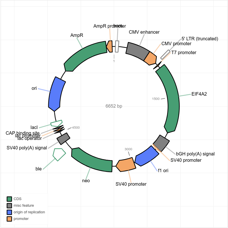 Plasmid sequencing RNomics Platform