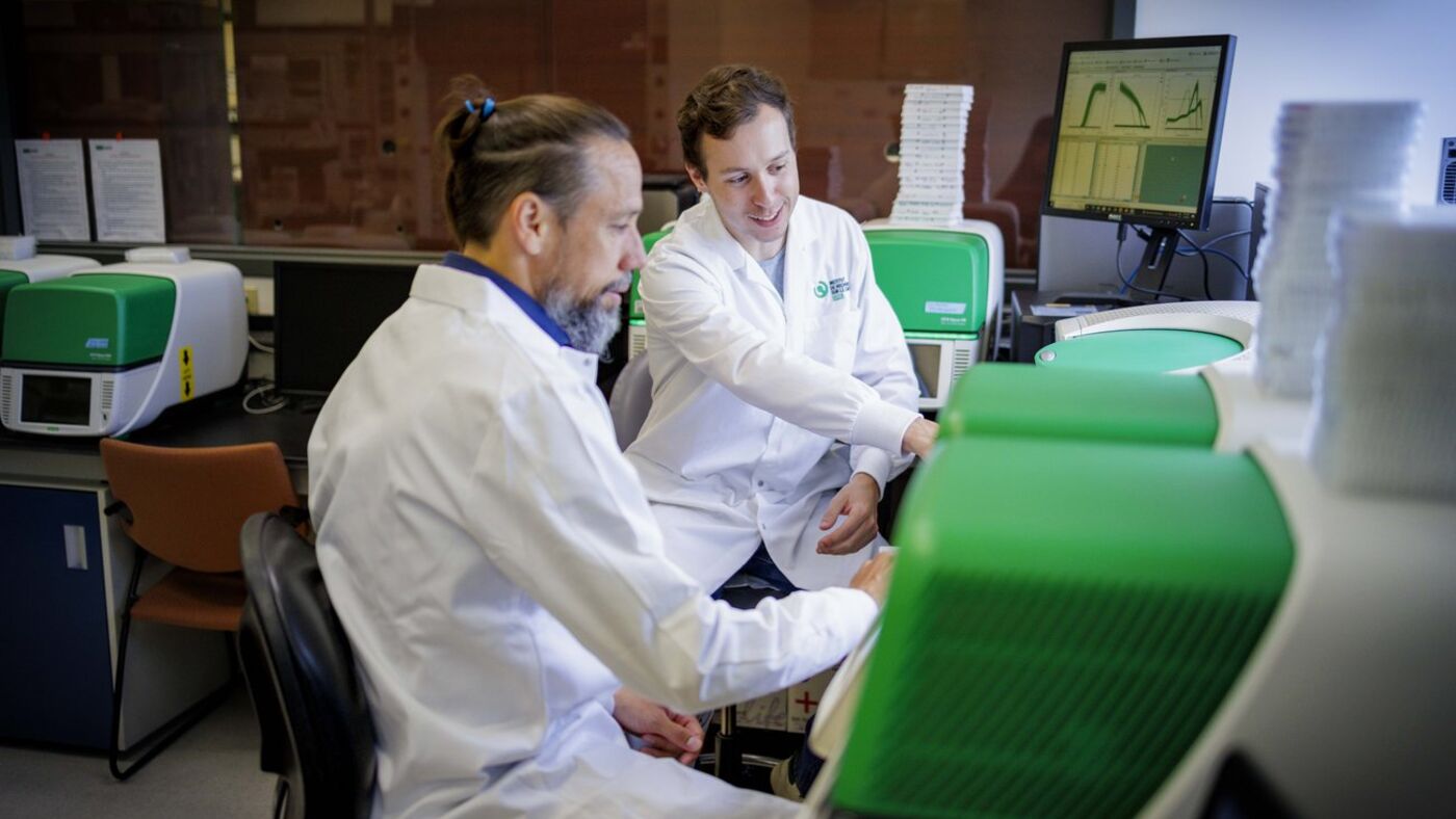 Laboratory work