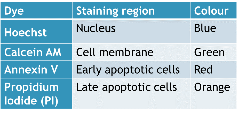 Marqueur apoptose