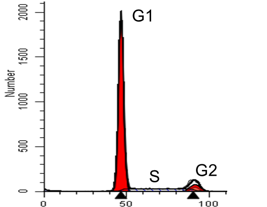 Cycle cellulaire