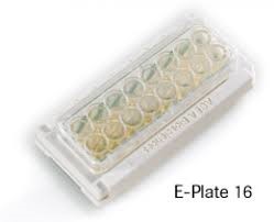 E-plate 16